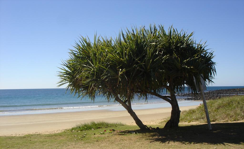 Koola Beach Apartments Bargara Kültér fotó